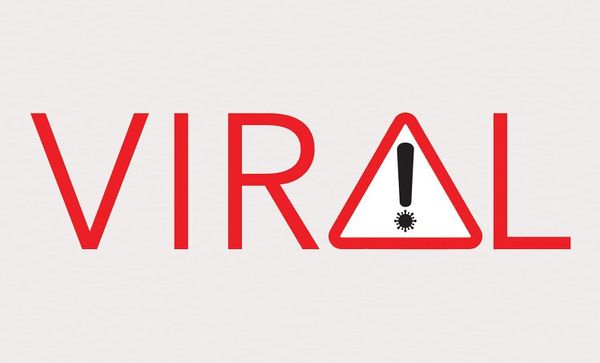 🦠 The search for the origin of COVID-19 went viral